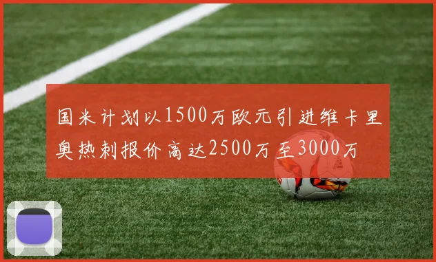 国米计划以1500万欧元引进维卡里奥热刺报价高达2500万至3000万